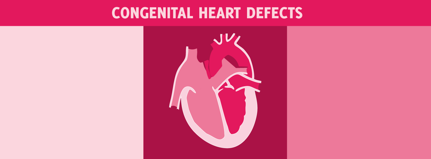 Congenital Heart Defects HorseDVM Diseases AZ