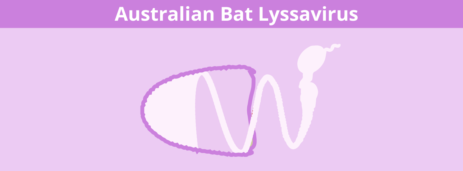 Australian Bat Lyssavirus HorseDVM Diseases AZ