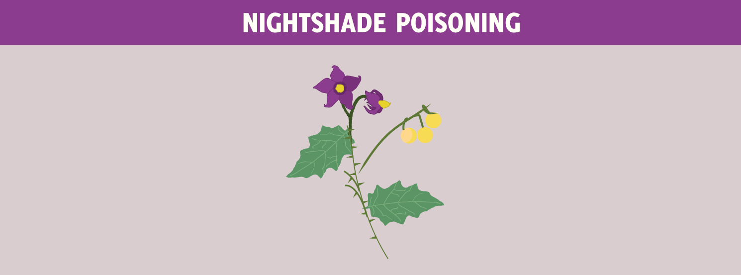 Nightshade Poisoning HorseDVM Diseases AZ