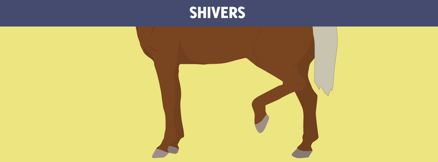 Shivers HorseDVM Diseases AZ