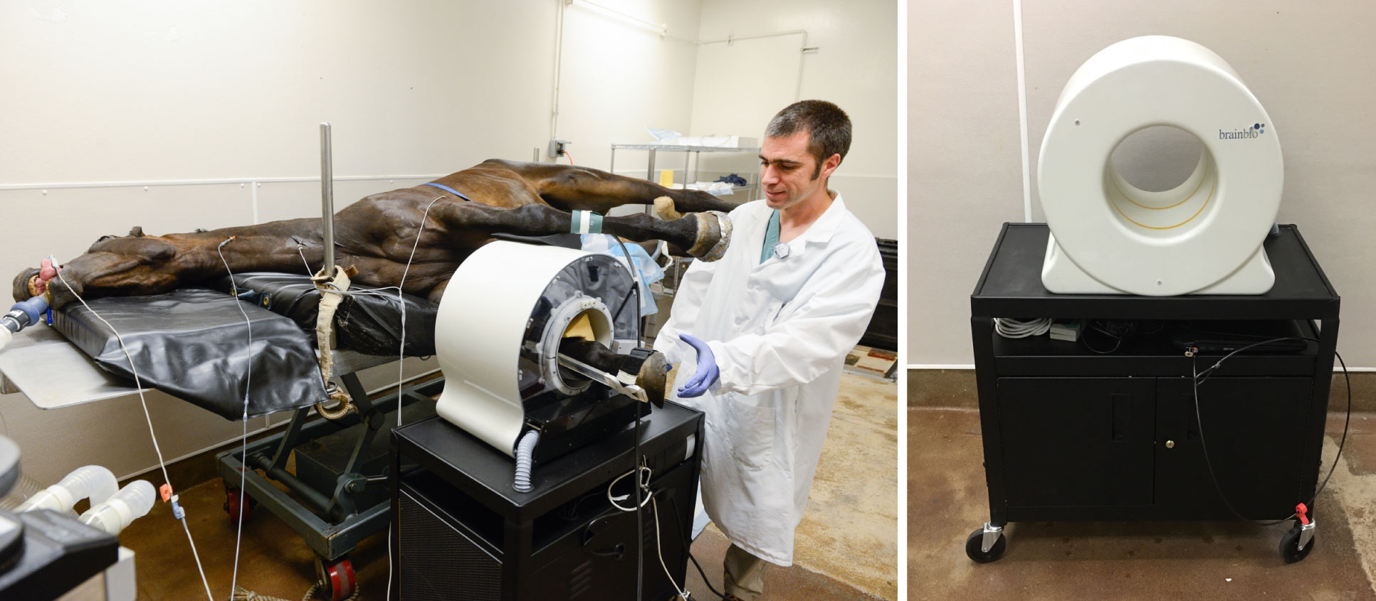 UC Davis Positron Emission Tomography