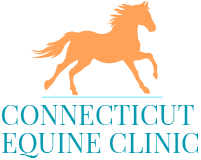 Connecticut Equine Clinic Logo