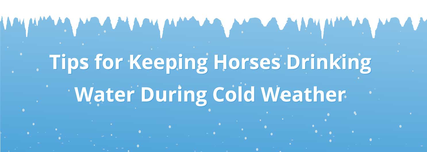 HorseDVM Infographic Tips for Keeping Horses Hydrated During Cold Weather