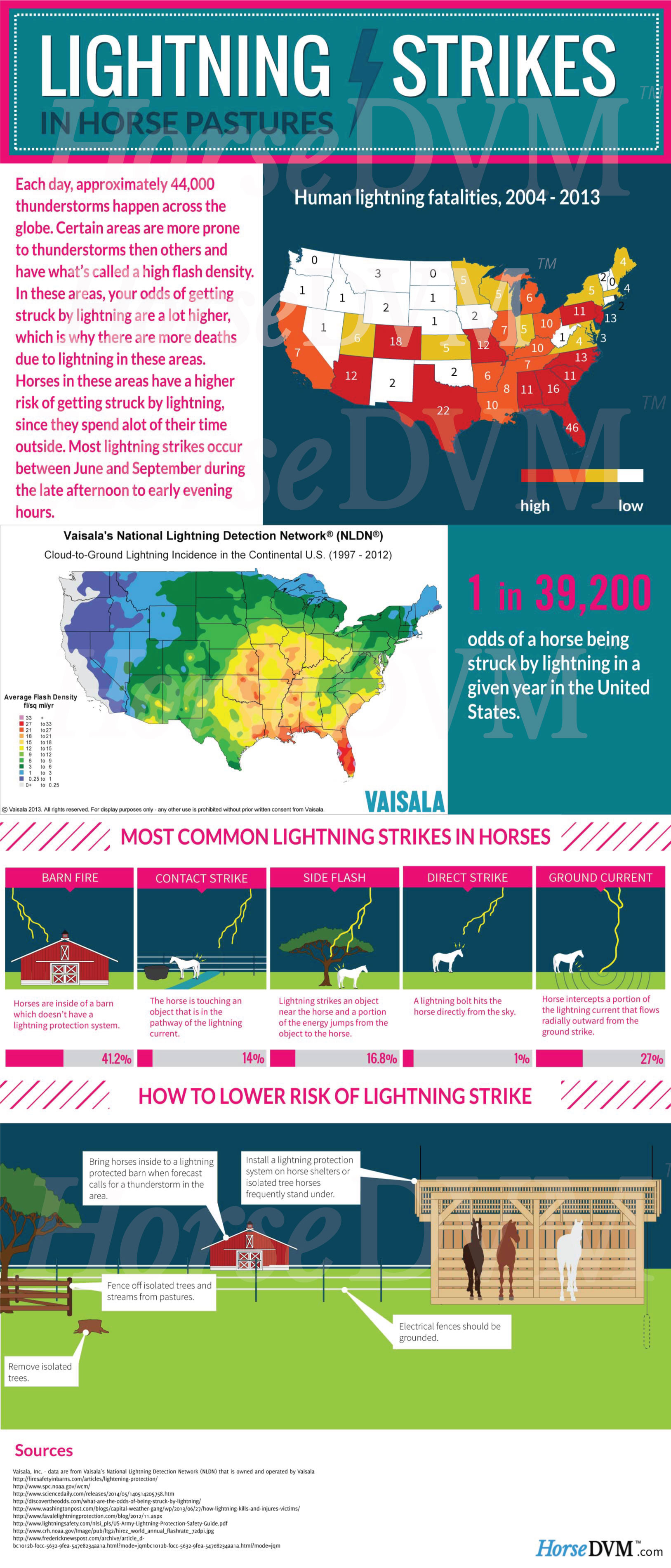 HorseDVM - horsedvm-lightning-strikes-in-horse-pastures
