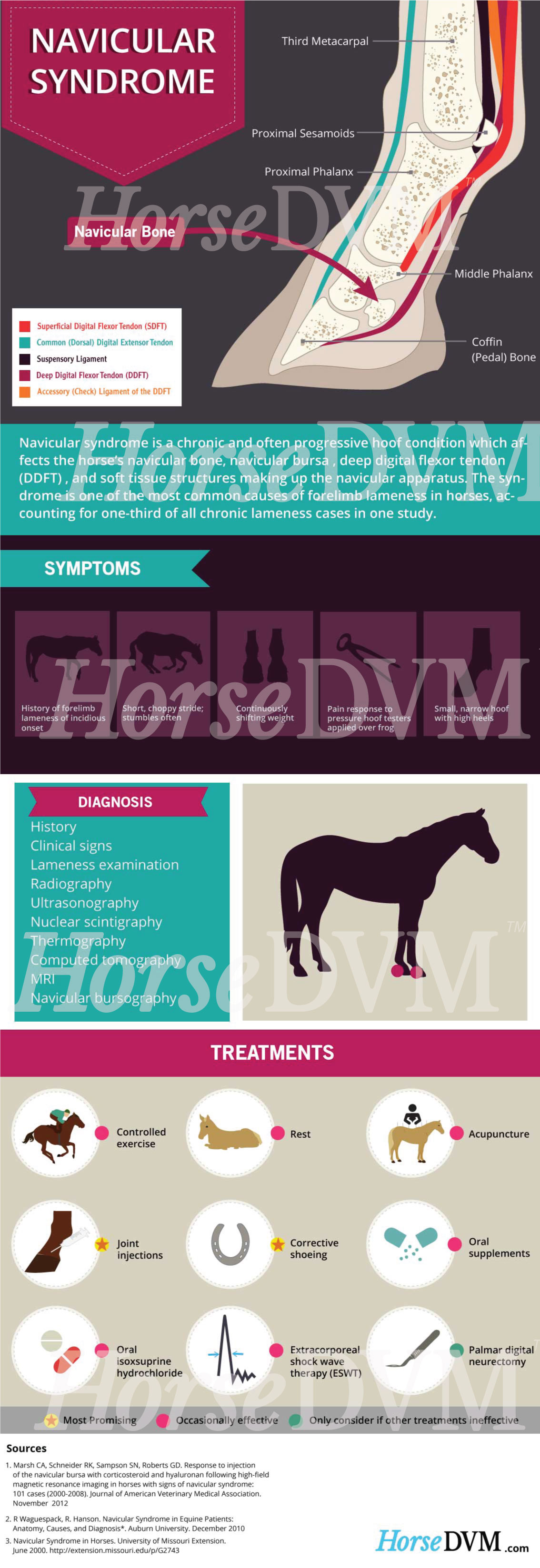 HorseDVM - horsedvm-navicular-syndrome
