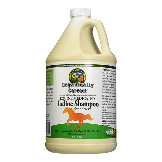 Ringworm HorseDVM Diseases AZ