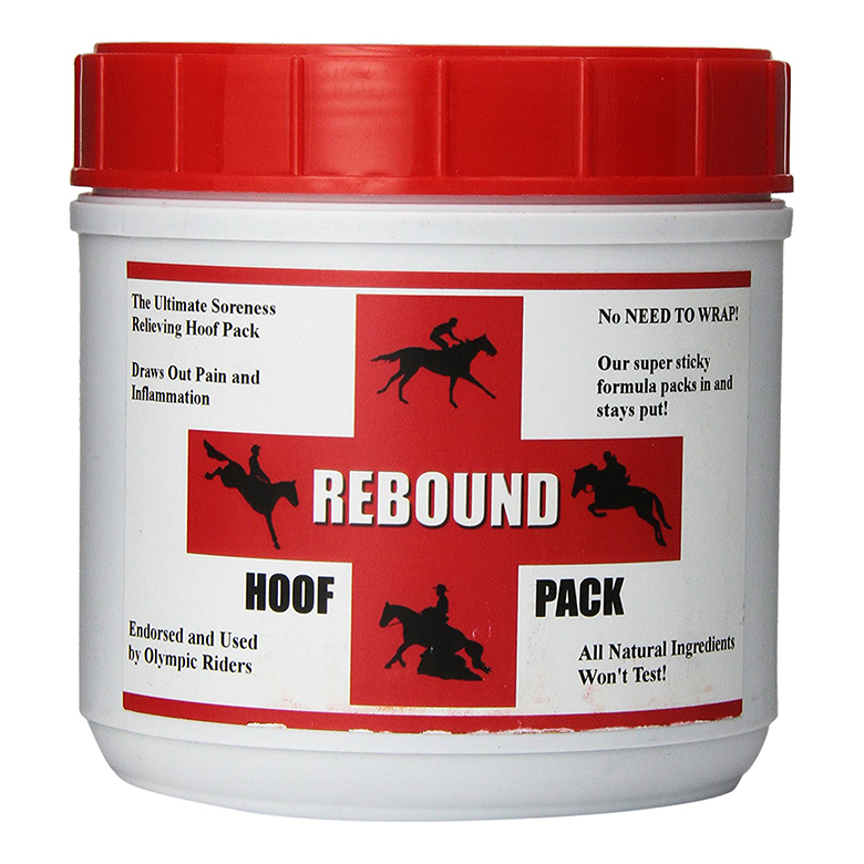 Bruised Sole HorseDVM Diseases AZ