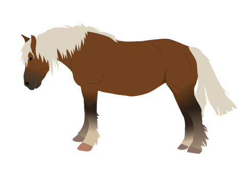 Comtois icon