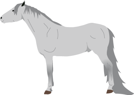 Tennessee Walking Horse icon