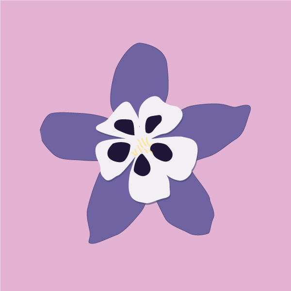 Aquilegia vulgaris  image