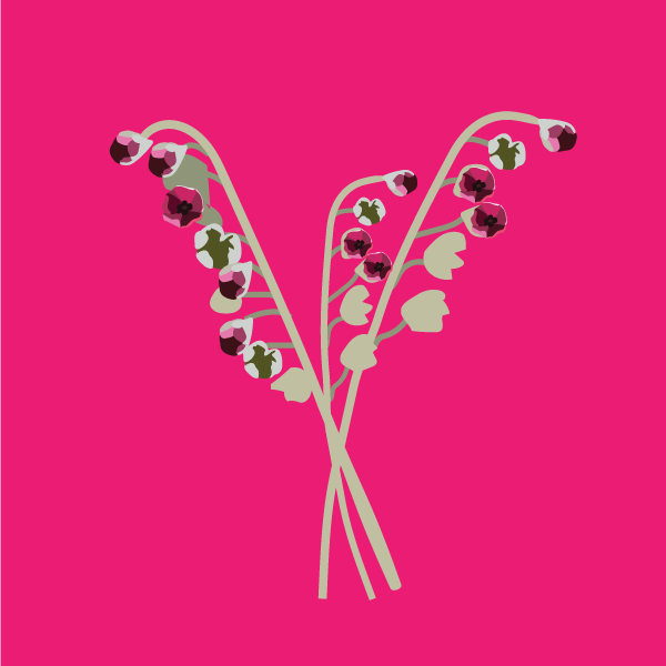 Cynoglossum officinale image