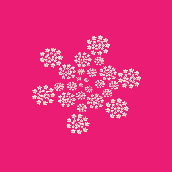 Daucus carota image