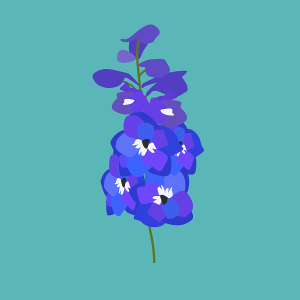 Delphinium spp image