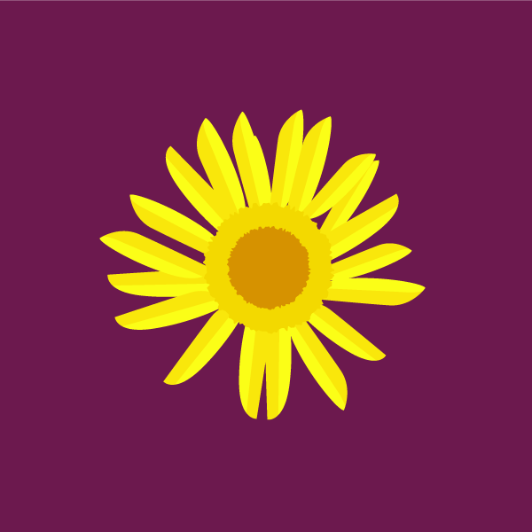 Grindelia squarrosa image
