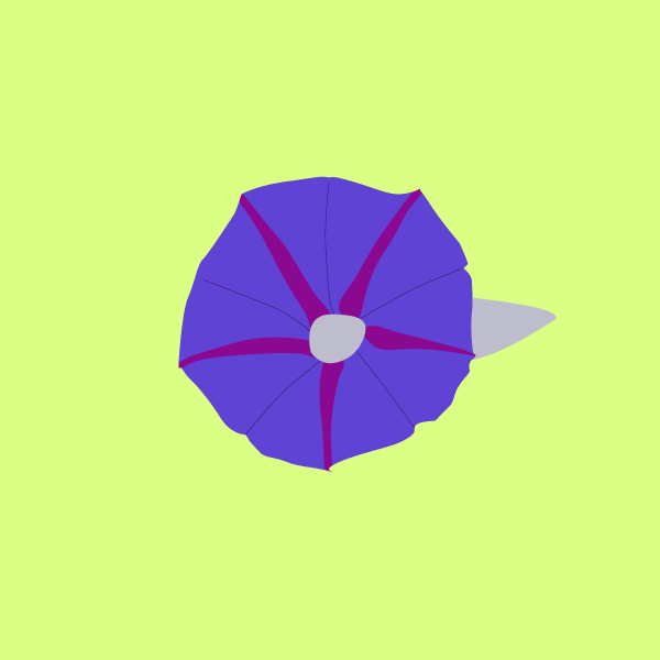 Ipomoea spp image