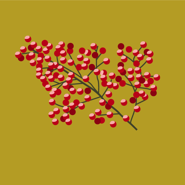 nandina_domestica