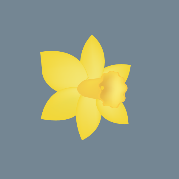 Narcissus pseudonarcissus image