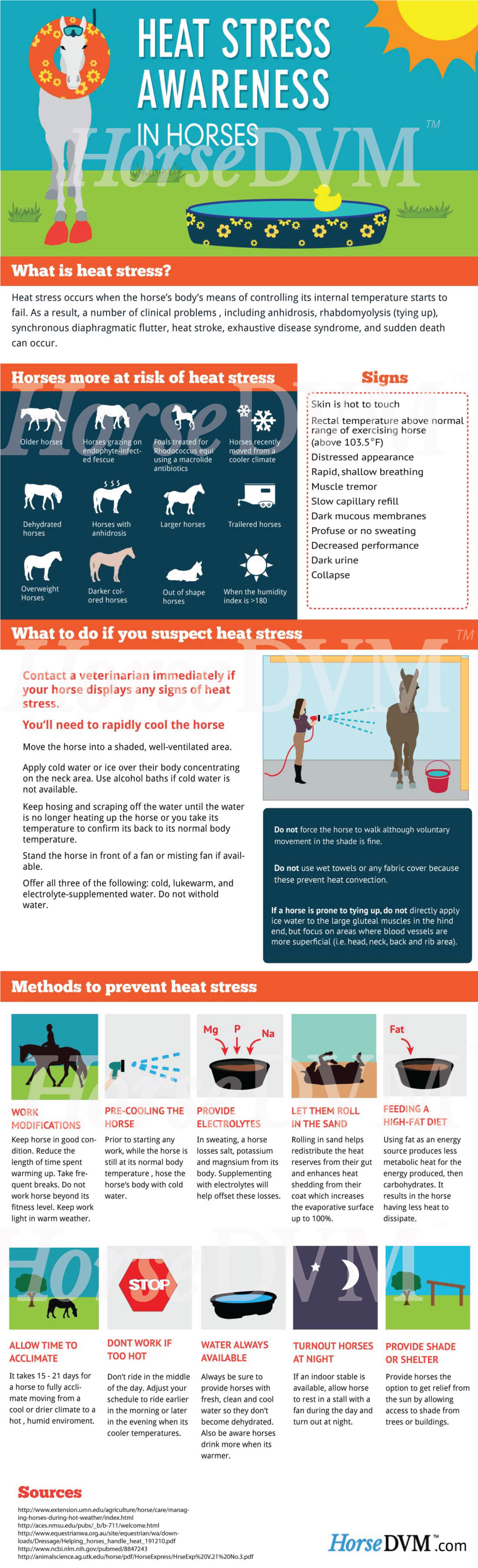 HorseDVM - horsedvm-heat-stress-in-horses