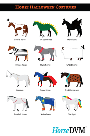 Horse Halloween Costumes image