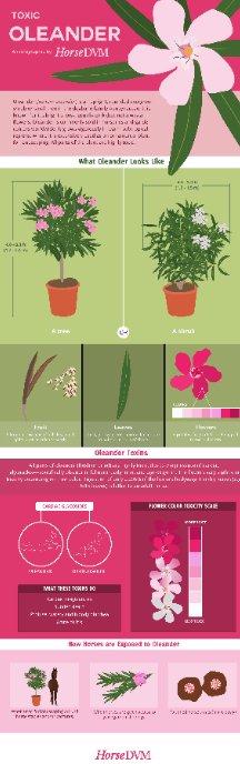 Toxic Oleander image