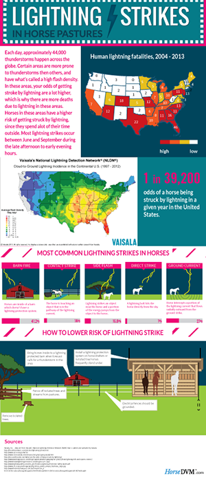 Lightning Strikes in Horse Pastures image