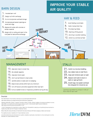 25 Ways to Improve your Stable's Air Quality image