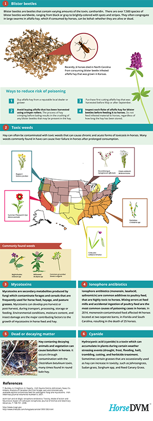 Toxic Contaminates in Horse Hay & Feed image